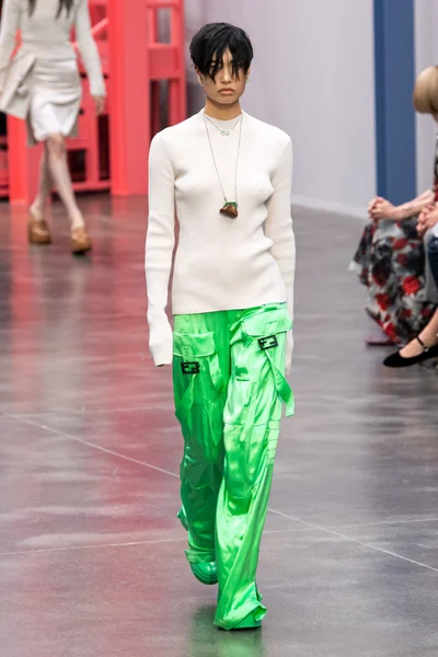 Look 29